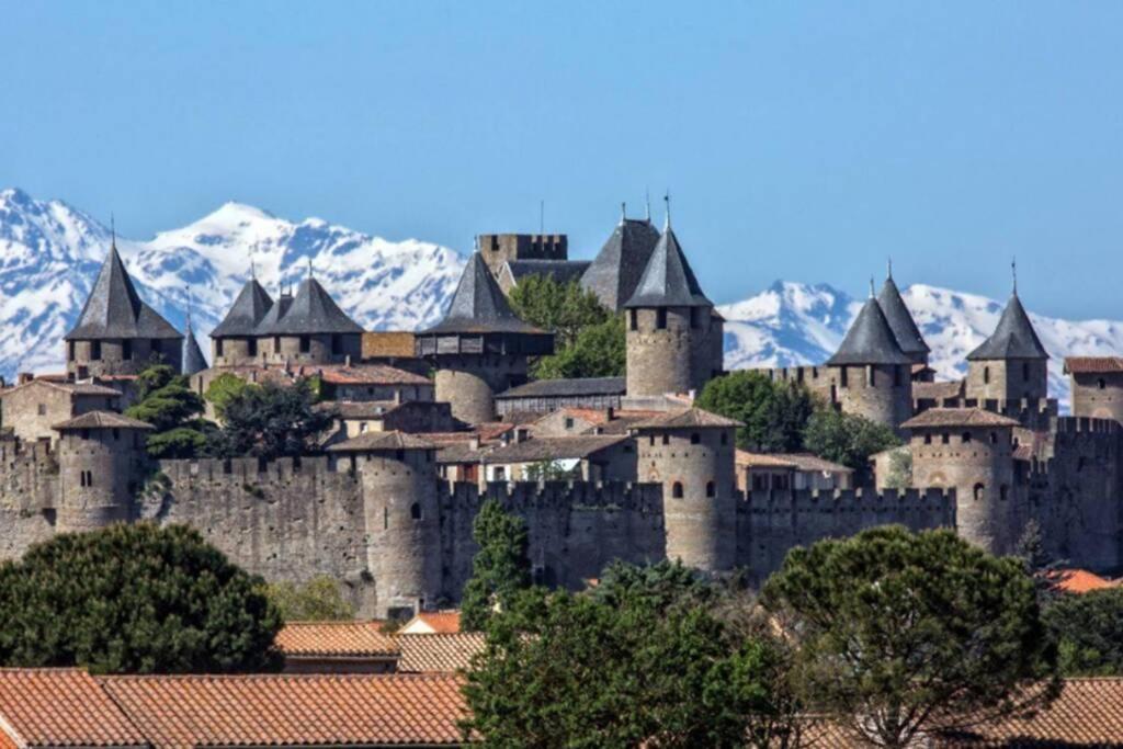 AlairacMaison Spacieuse Et Calme Pres De La Cite别墅 外观 照片